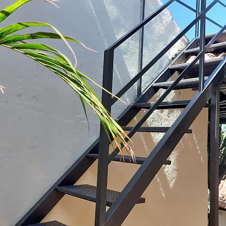 Aptos Monasterio De San Antonio 6 伊科德·德·洛斯·维诺斯 外观 照片