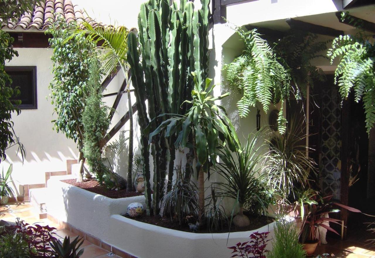 Aptos Monasterio De San Antonio 6 伊科德·德·洛斯·维诺斯 外观 照片